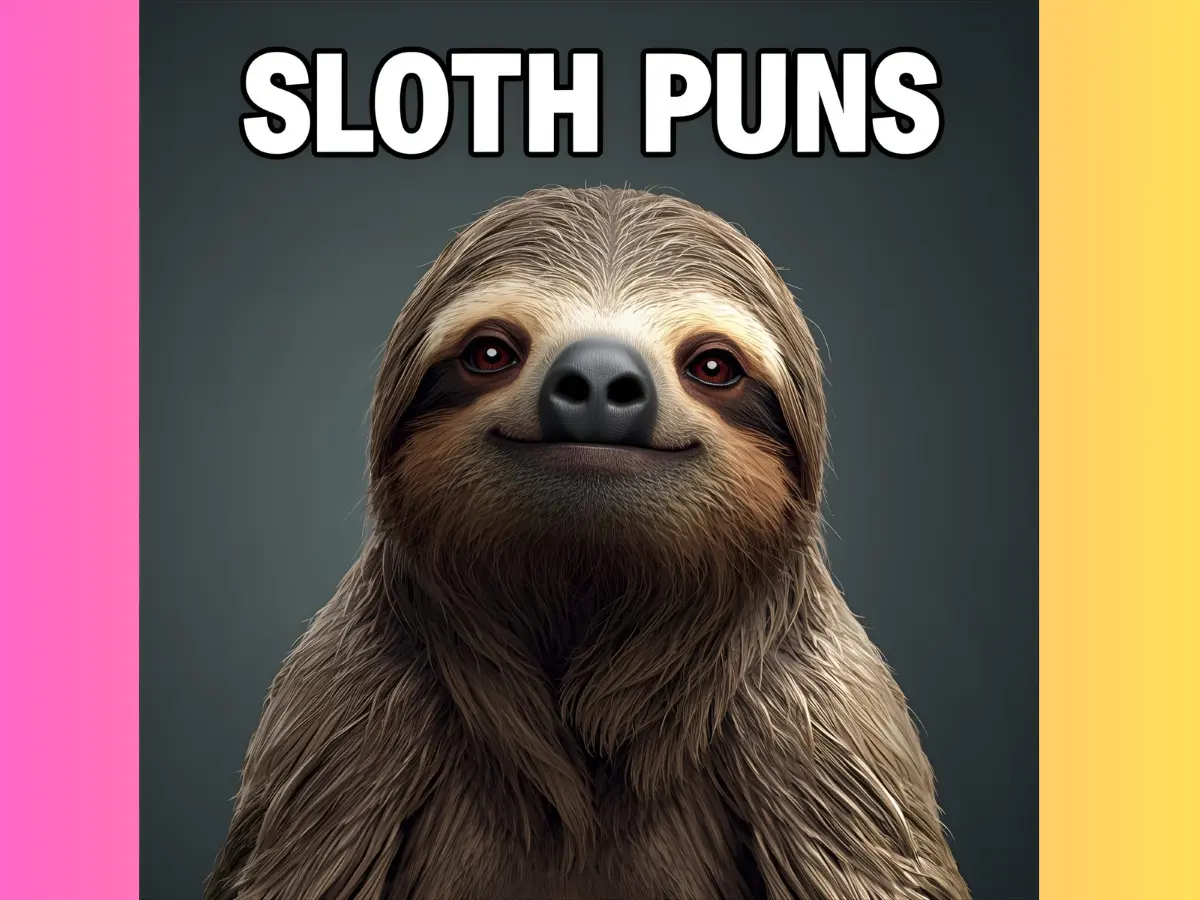 Sloth Puns